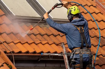 Démoussage et hydrofuge de toiture à Chamagnieu